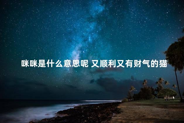 咪咪是什么意思呢 又顺利又有财气的猫名字